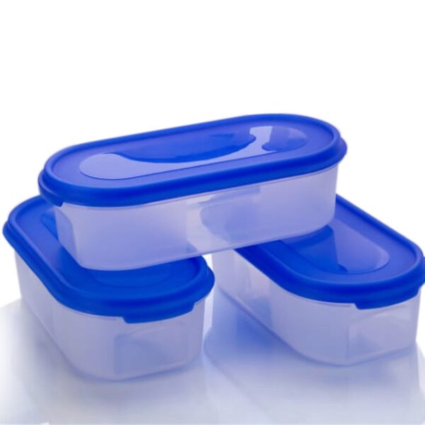 2332 Kitchen Storage Container for Multipurpose Use (500ml)