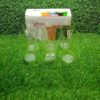 2849 Drinking Glass Juice Glass Water Glass Set of 6 Transparent Glass